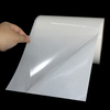 Premium transparent Waterproof PP Self Adhesive Label clear pp sticker label roll